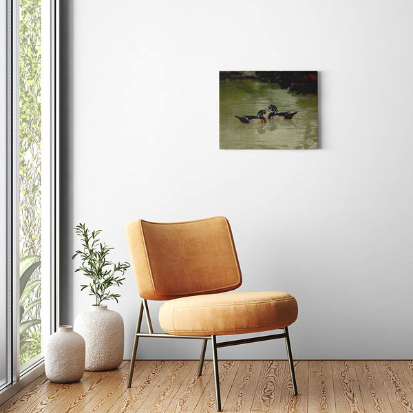 20x16 Premium Image Wrap Canvas --  2 WOOD DUCKS