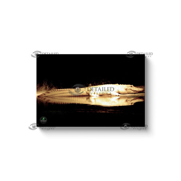 24x16  Premium Image Wrap Canvas -- New Orleans Albino Alligator