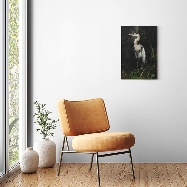 16x24 Premium Image Wrap Canvas -- Grey Heron