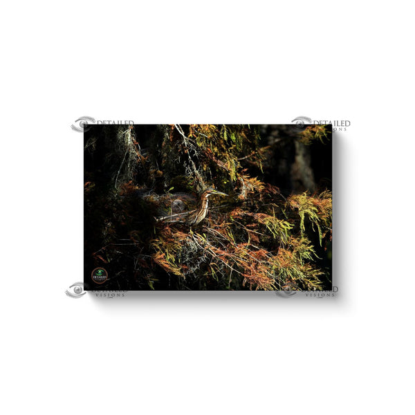 24x16 Premium Image Wrap Canvas -- Green Heron