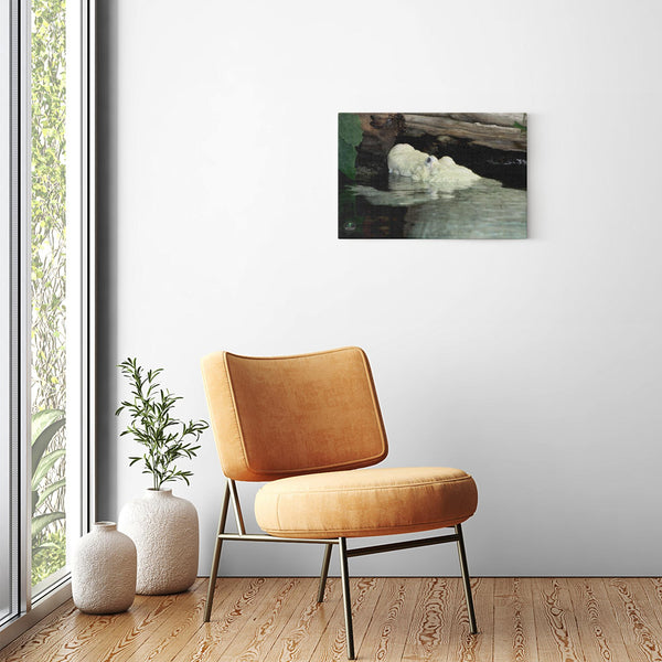 24x16 Premium Image Wrap Canvas -- Albino Gator Hanging Out