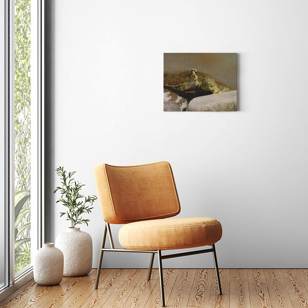 20x16 Premium Image Wrap Canvas -- SOFTSHELL TURTLE Saying "Hello"