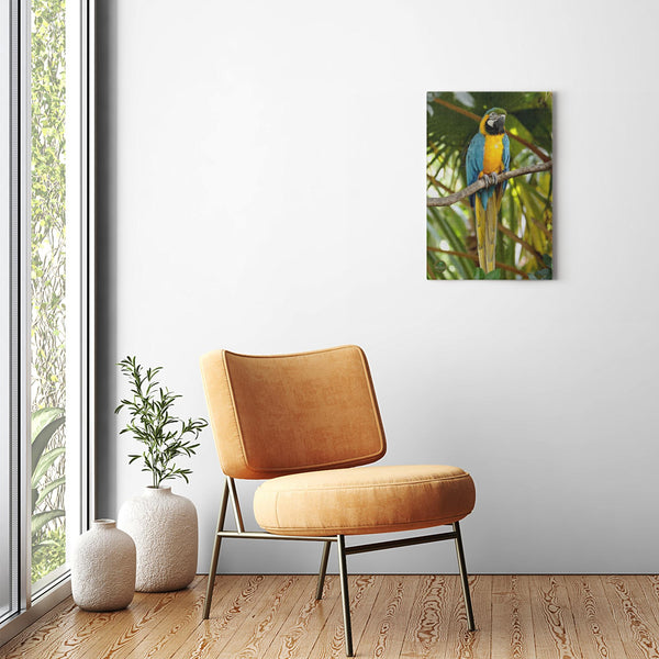 16x24 Premium Image Wrap Canvas -- Parrot